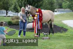 23R13_14002 thumbnail